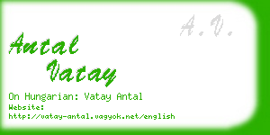 antal vatay business card